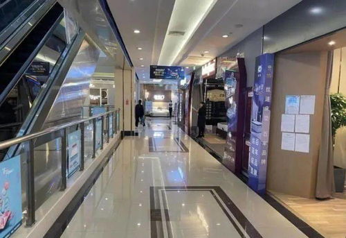 行業(yè)聚焦 原材料價(jià)格飆升、終端銷售疲軟，家居飾品市場如何破局？